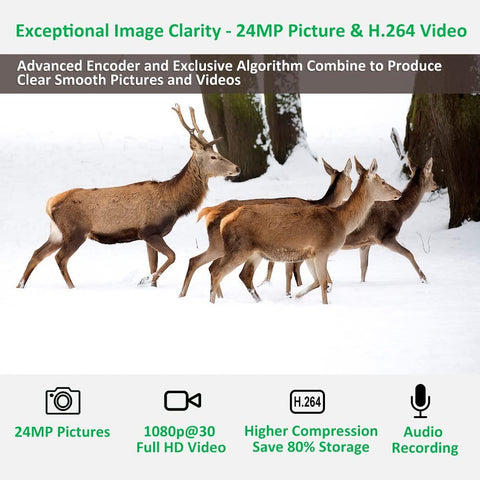 24MP 1080P Trail Camera with Infrared Night Vision – Motion Activated Wildlife Cam – 1127600 - with | Sold by Uncle Wiener's Wholesale