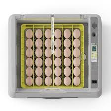 36 - Egg Automatic Digital Incubator & Hatcher – Precise Temp & Humidity Control for Poultry Eggs | SKU: 825EW36 - with | Sold by Uncle Wiener's Wholesale