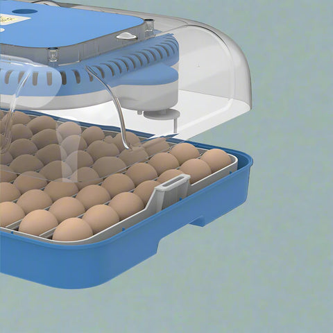 70 - Egg Digital Automatic Incubator & Brooder Set – All - in - One Hatching System | SKU 617EW70 - with | Sold by Uncle Wiener's Wholesale