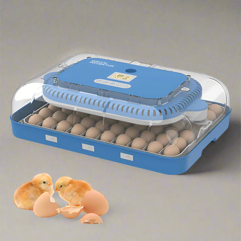 70 - Egg Digital Automatic Incubator & Brooder Set – All - in - One Hatching System | SKU 617EW70 - with | Sold by Uncle Wiener's Wholesale