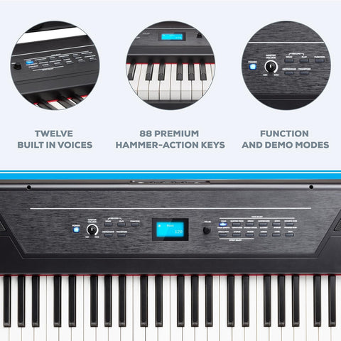 “Alesis Recital Pro 88-key digital piano front view”
“Alesis piano with built-in speakers and full-size weighted keys”
“88-key hammer action electric piano for beginners and pros”
“Rear panel of Alesis Recital Pro showing inputs and outputs”
“Close-up of control panel and FX buttons on Alesis keyboard”