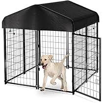 Heavy - Duty Outdoor Dog Kennel House Pen with Roof – 4x4 & 4x8 FT Options - with 4X4X4.3 FT | Sold by Uncle Wiener's Wholesale