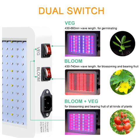 "1000W Full Spectrum LED Grow Light for Hydroponics"
"Indoor Hydroponic Grow Lamp with Veg and Bloom Switch"
"Waterproof 1000W LED Plant Light for Seedling and Flowering"
"High Efficiency Full Spectrum Grow Light for Indoor Gardening"
"Energy Saving 1000W LED Grow Light for Greenhouse Plants"