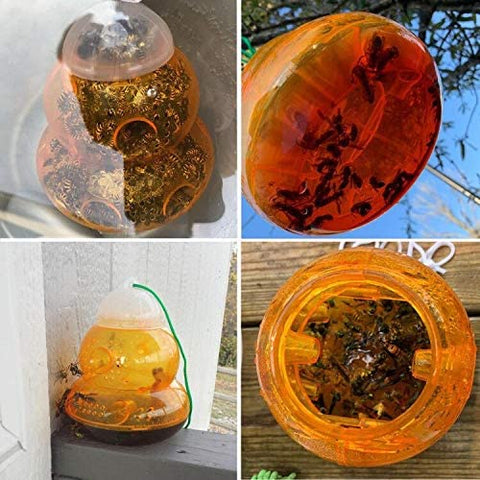New 2 - Pack Plastic Wasp Traps for Hornets, Bees & Yellow Jackets – Effective Outdoor Pest Control 462021 - with | Sold by Uncle Wiener's Wholesale