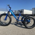 blue 3-wheel fat tire adult trike with disc brakes
Shimano 7-speed fat tire tricycle bike for adults
wide tire off-road adult tricycle with mag wheels