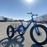 blue 3-wheel fat tire adult trike with disc brakes
Shimano 7-speed fat tire tricycle bike for adults
wide tire off-road adult tricycle with mag wheels