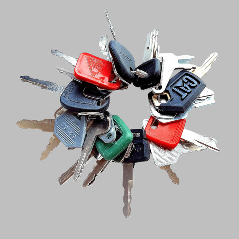 24-Piece Universal Ignition Key Set for Heavy Equipment – Mixed OEM Styles on Ring