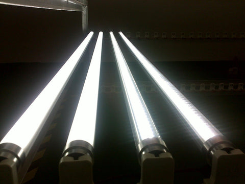 8FT LED tube lights installed in commercial ceiling
Bright white 4FT integrated T8 LED light tube
Close-up of frosted cover LED tube bulb
T8 tube lights illuminating warehouse ceiling
LED tube light replacement for fluorescent tubes