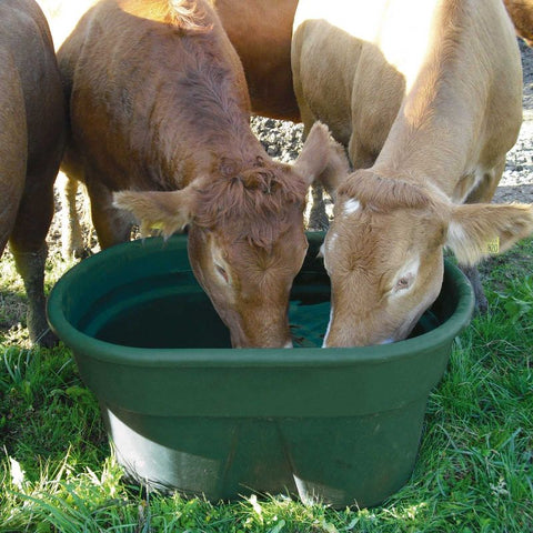 Large plastic livestock water trough 60L
150L green oval animal feed tub with handles
Farm animal drinking from 380L plastic waterer