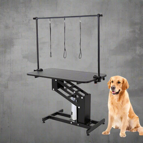 Electric Hydraulic Pet Grooming Table with Dog β Front View
Grooming Table with Adjustable Arm and Dog β Side View
Electric Lift Pet Grooming Table β Rear View
Heavy-Duty Grooming Station β Adjustable Height Display