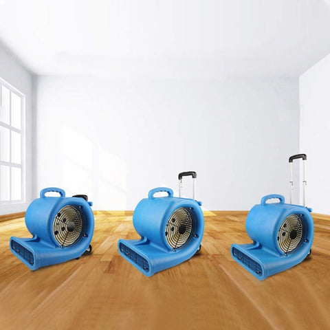 Floor dryer fan with wheels and handle
High-velocity air mover for job sites
Blue industrial carpet dryer fan in use
Heavy-duty blower fan for water damage
Portable air mover fan on wheels