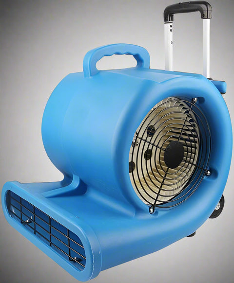 Floor dryer fan with wheels and handle
High-velocity air mover for job sites
Blue industrial carpet dryer fan in use
Heavy-duty blower fan for water damage
Portable air mover fan on wheels