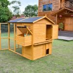 Large Wooden Walk-In Chicken Coop with Nesting Boxes and Outdoor Run for 10 Chickens