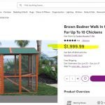 Large Wooden Walk-In Chicken Coop with Nesting Boxes and Outdoor Run for 10 Chickens