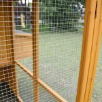Large Wooden Walk-In Chicken Coop with Nesting Boxes and Outdoor Run for 10 Chickens