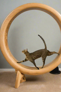 Large wooden cat exercise wheel with a carpeted running surface
Cat running on treadmill wheel in modern home
Side view of XL cat treadmill showing safe base design
Close-up of smooth solid wood wheel and track
Happy cat playing inside wooden running wheel