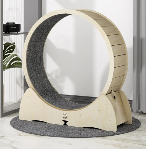 Large wooden cat exercise wheel with a carpeted running surface
Cat running on treadmill wheel in modern home
Side view of XL cat treadmill showing safe base design
Close-up of smooth solid wood wheel and track
Happy cat playing inside wooden running wheel