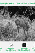 24MP 1080P Trail Camera with Infrared Night Vision – Motion Activated Wildlife Cam – 1127600 - with | Sold by Uncle Wiener's Wholesale