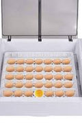 36 - Egg Automatic Digital Incubator & Hatcher – Precise Temp & Humidity Control for Poultry Eggs | SKU: 825EW36 - with | Sold by Uncle Wiener's Wholesale
