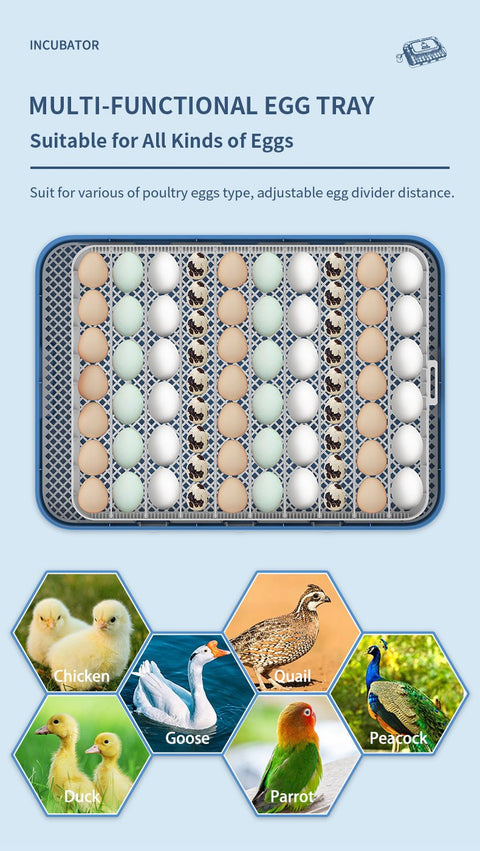 70 - Egg Digital Automatic Incubator & Brooder Set – All - in - One Hatching System | SKU 617EW70 - with | Sold by Uncle Wiener's Wholesale