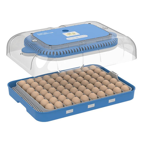 70 - Egg Digital Automatic Incubator & Brooder Set – All - in - One Hatching System | SKU 617EW70 - with | Sold by Uncle Wiener's Wholesale