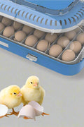 70 - Egg Digital Automatic Incubator & Brooder Set – All - in - One Hatching System | SKU 617EW70 - with | Sold by Uncle Wiener's Wholesale