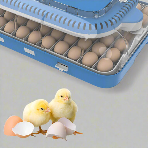 70 - Egg Digital Automatic Incubator & Brooder Set – All - in - One Hatching System | SKU 617EW70 - with | Sold by Uncle Wiener's Wholesale