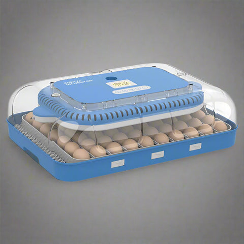 70 - Egg Digital Automatic Incubator & Brooder Set – All - in - One Hatching System | SKU 617EW70 - with | Sold by Uncle Wiener's Wholesale