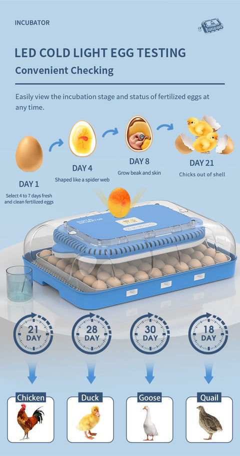 70 - Egg Digital Automatic Incubator & Brooder Set – All - in - One Hatching System | SKU 617EW70 - with | Sold by Uncle Wiener's Wholesale