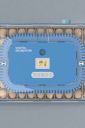 70 - Egg Digital Automatic Incubator & Brooder Set – All - in - One Hatching System | SKU 617EW70 - with | Sold by Uncle Wiener's Wholesale