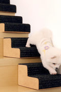 Dog Ramp for Small Dogs, 2 Step Modular Foam Dog Stairs for Any Staircase, Dog Step with Durable Non - Slip for Small Medium Old Dog Puppy (4 Pack) - with Wooden | Sold by Uncle Wiener's Wholesale