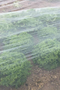 10x20 FT Durable Bug Netting for Garden Plants

Heavy-Duty Mesh Screen for Greenhouse Insect Protection

Breathable Plant Protection Net for Vegetables and Flowers

