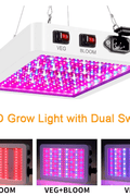 "1000W Full Spectrum LED Grow Light for Hydroponics"

"Indoor Hydroponic Grow Lamp with Veg and Bloom Switch"

"Waterproof 1000W LED Plant Light for Seedling and Flowering"

"High Efficiency Full Spectrum Grow Light for Indoor Gardening"

"Energy Saving 1000W LED Grow Light for Greenhouse Plants"
