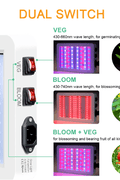 "1000W Full Spectrum LED Grow Light for Hydroponics"

"Indoor Hydroponic Grow Lamp with Veg and Bloom Switch"

"Waterproof 1000W LED Plant Light for Seedling and Flowering"

"High Efficiency Full Spectrum Grow Light for Indoor Gardening"

"Energy Saving 1000W LED Grow Light for Greenhouse Plants"