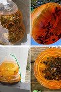 New 2 - Pack Plastic Wasp Traps for Hornets, Bees & Yellow Jackets – Effective Outdoor Pest Control 462021 - with | Sold by Uncle Wiener's Wholesale