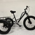blue 3-wheel fat tire adult trike with disc brakes
Shimano 7-speed fat tire tricycle bike for adults
wide tire off-road adult tricycle with mag wheels