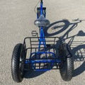 blue 3-wheel fat tire adult trike with disc brakes
Shimano 7-speed fat tire tricycle bike for adults
wide tire off-road adult tricycle with mag wheels