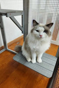 4-tier outdoor wooden catio with nesting boxes and waterproof roof
