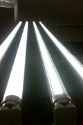 8FT LED tube lights installed in commercial ceiling
Bright white 4FT integrated T8 LED light tube
Close-up of frosted cover LED tube bulb
T8 tube lights illuminating warehouse ceiling
LED tube light replacement for fluorescent tubes
