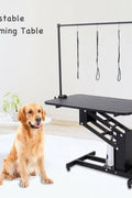Electric Hydraulic Pet Grooming Table with Dog – Front View

Grooming Table with Adjustable Arm and Dog – Side View

Electric Lift Pet Grooming Table – Rear View

Heavy-Duty Grooming Station – Adjustable Height Display
