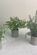 NEW FAKE ARTIFICIAL SILK PLANTS & TROPICAL TREES - with 3 - Pack Potted Faux Eucalyptus Plants | Sold by Uncle Wiener's Wholesale