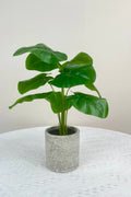 NEW FAKE ARTIFICIAL SILK PLANTS & TROPICAL TREES - with 2 - Pack Potted Faux Eucalyptus Plants | Sold by Uncle Wiener's Wholesale