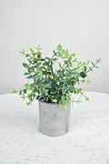 NEW FAKE ARTIFICIAL SILK PLANTS & TROPICAL TREES - with 3 - Pack Potted Faux Eucalyptus Plants | Sold by Uncle Wiener's Wholesale