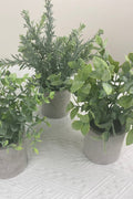 NEW FAKE ARTIFICIAL SILK PLANTS & TROPICAL TREES - with 3 - Pack Potted Faux Eucalyptus Plants | Sold by Uncle Wiener's Wholesale