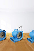 Floor dryer fan with wheels and handle

High-velocity air mover for job sites

Blue industrial carpet dryer fan in use

Heavy-duty blower fan for water damage

Portable air mover fan on wheels