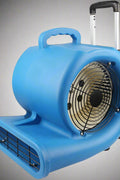 Floor dryer fan with wheels and handle

High-velocity air mover for job sites

Blue industrial carpet dryer fan in use

Heavy-duty blower fan for water damage

Portable air mover fan on wheels