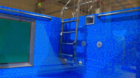 “Modern 20ft sea container pool in backyard with filtration system”

“Indoor 40ft shipping container swimming pool with viewing glass”

“Above-ground modular pool built from repurposed shipping container”