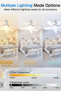 New Socket Fan Light – 2 - in - 1 LED Ceiling Fan Light Bulb with Remote Dimmable, 3 Color 250522F - with | Sold by Uncle Wiener's Wholesale