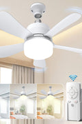 New Socket Fan Light – 2 - in - 1 LED Ceiling Fan Light Bulb with Remote Dimmable, 3 Color 250522F - with | Sold by Uncle Wiener's Wholesale