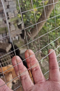 VEVOR Galvanized steel wire fence, model: SS12122425G, 640*140*140mm - with | Sold by Uncle Wiener's Wholesale